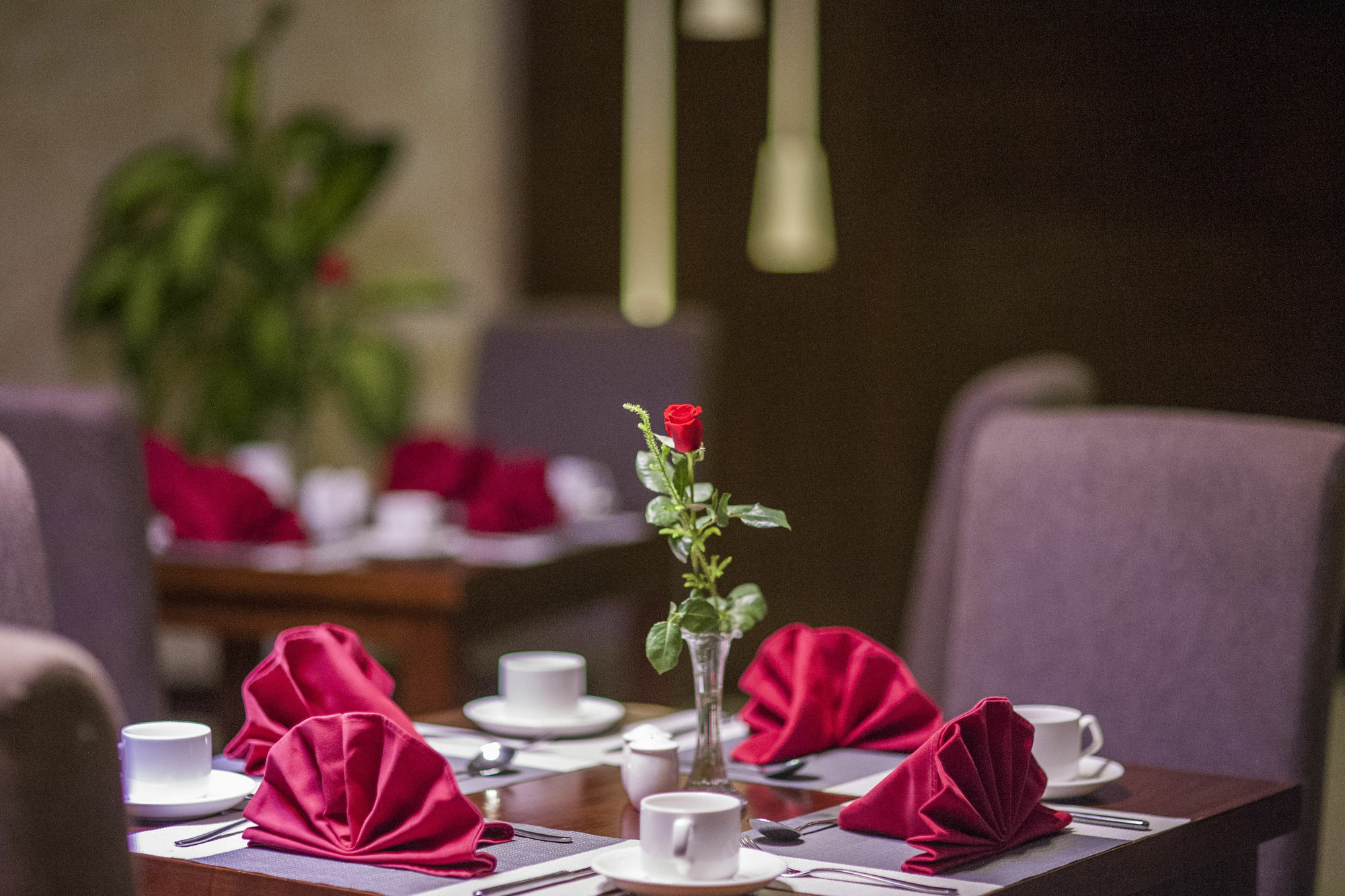 Muong Thanh Grand Quang Tri Hotel Exteriör bild
